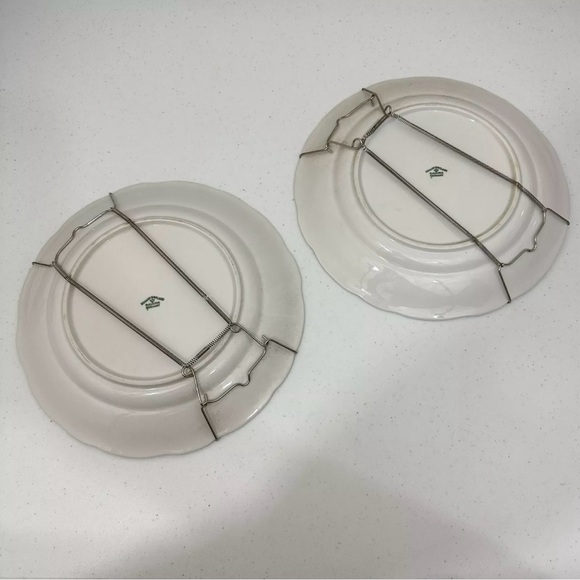 Vintage Johann Haviland Bavaria Germany Docorative Bird 10” Plates Set RARE - Picture 2 of 11